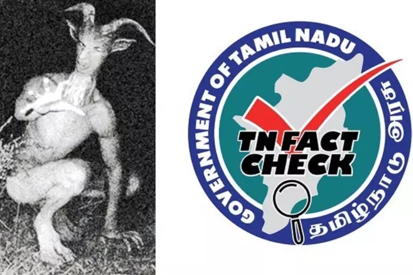 திருவண்ணாமலையில் மனிதர்களை தாக்கிய வினோத விலங்கு? – தமிழக அரசு விளக்கம்